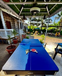Alibag villa table tennis